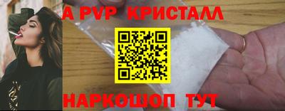 стаф Гатчина