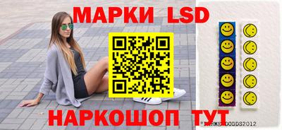 стаф Гатчина