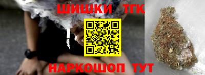 стаф Гатчина