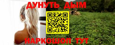 стаф Гатчина