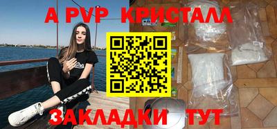стаф Гатчина